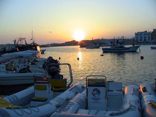 lampedusa_178.jpg