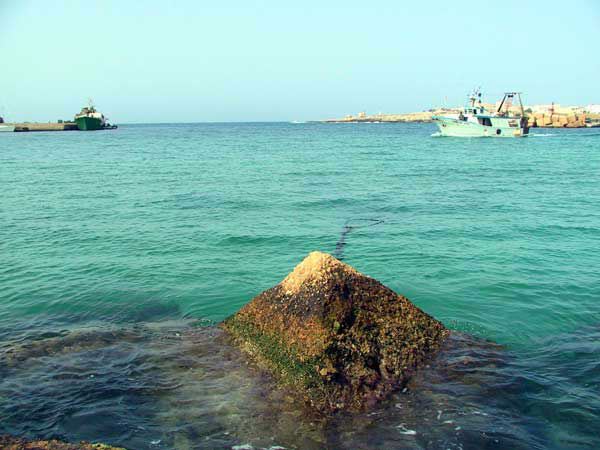 lampedusa_243.jpg
