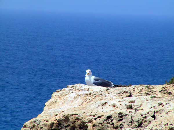 lampedusa_286.jpg
