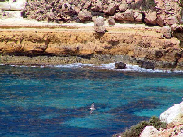 lampedusa_292.jpg