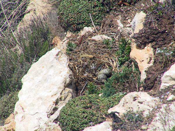 lampedusa_320.jpg