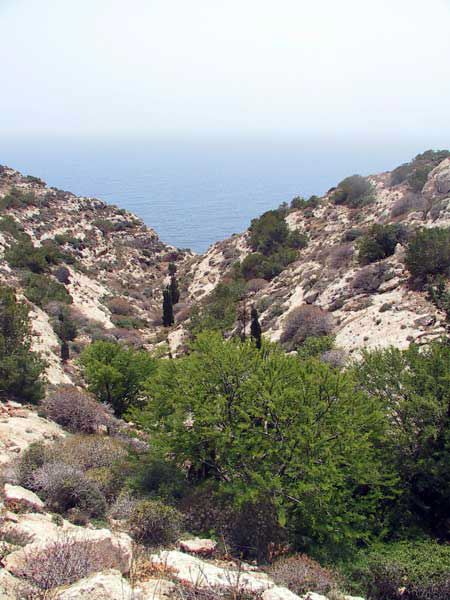 lampedusa_324.jpg