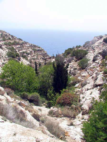 lampedusa_325.jpg