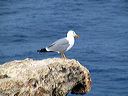 lampedusa_167