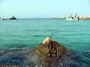 lampedusa_243
