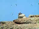 lampedusa_308