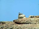 lampedusa_309