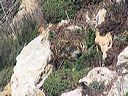 lampedusa_320