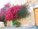 lampedusa_336