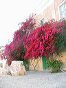 lampedusa_337
